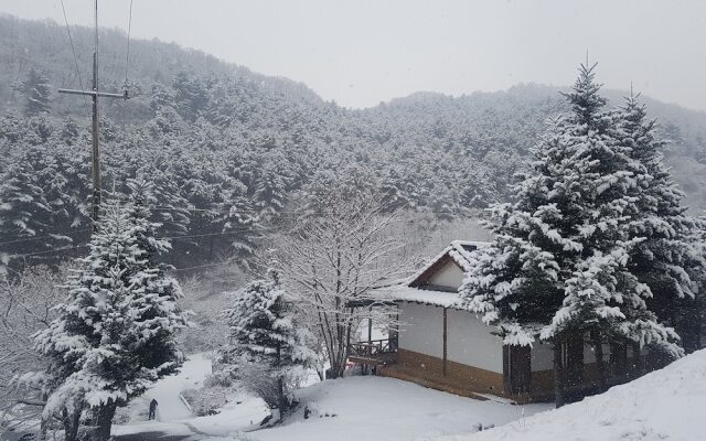 Hwaya Mountain Pension