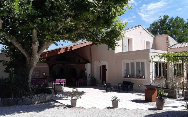 Le Vieux Platane