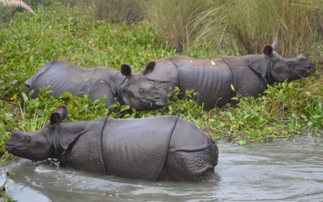 Tigerland Safari Resort