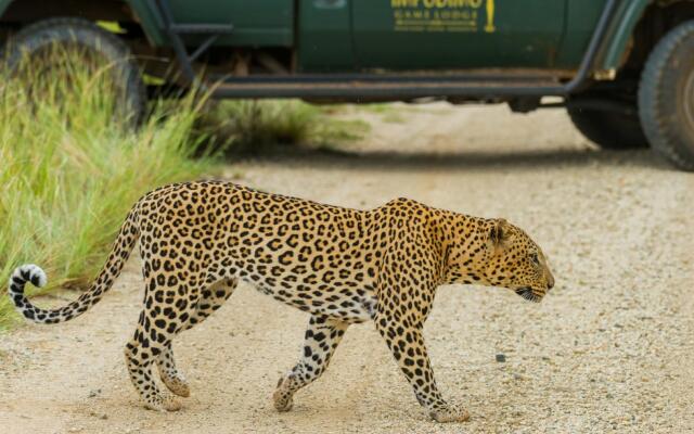 Impodimo Game Lodge