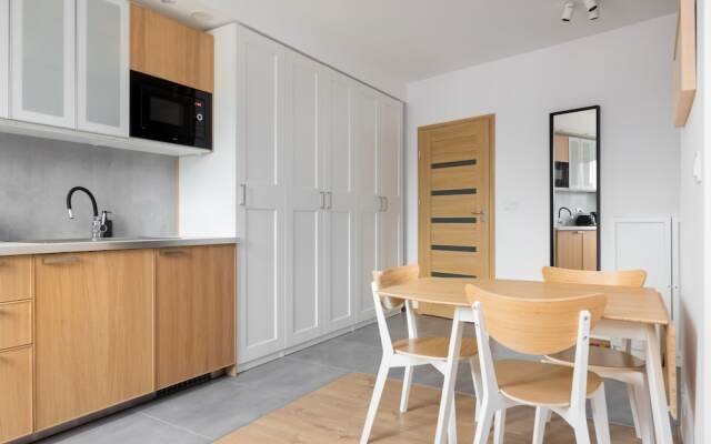 Old Praga Cosy Studio