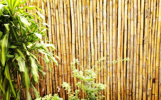 Som Khounmeung Guesthouse