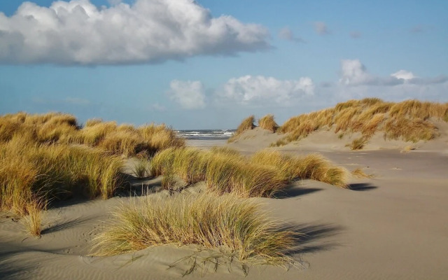 Wonderful and Spacious Apartment