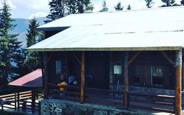Tanevit Dag Evi