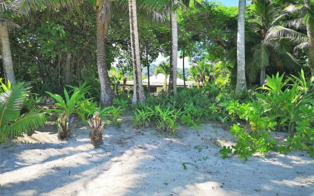 Natura Pandanus Villa