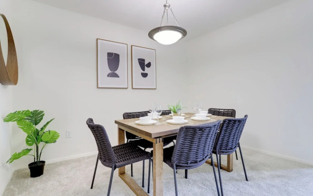 Comfortable Apt in Crystal City