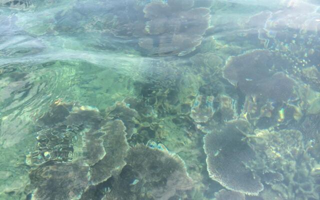 Damai Tioman Resort