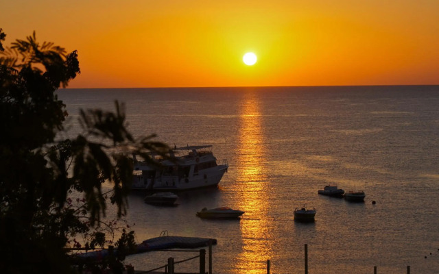 Umbi Sharks Bay Diving Village