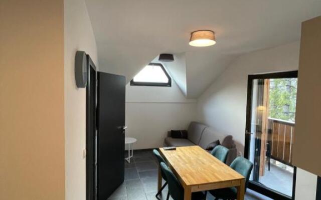 Golte - A2 Apartment - ski in/Out