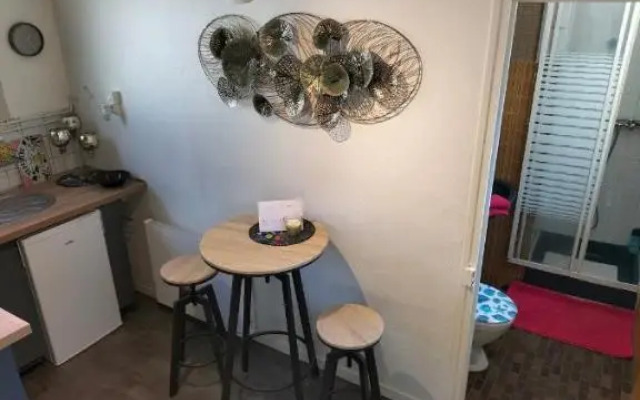 Studio promenade bord de Seine Rouen