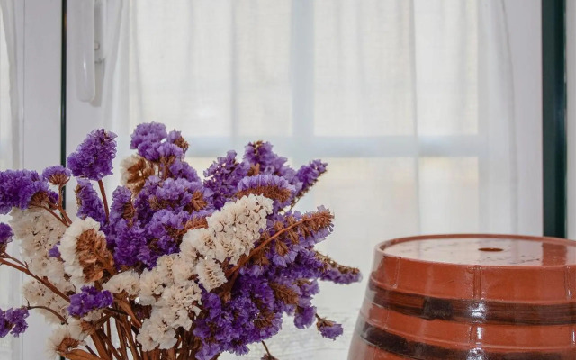 Torreira . Yellow Beach Pavilion