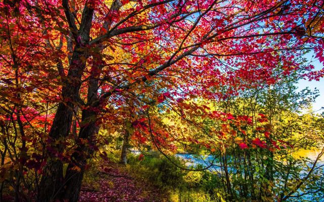 Oberge Inn  Riverside guest room in Val-David village with free parking