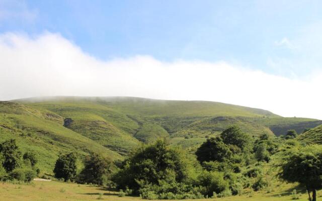 Apartamentos Zabalarena Basoa