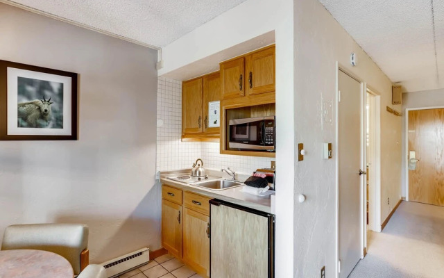 Lift House Lodge, Remodeled Downtown Lionshead Studio Condo