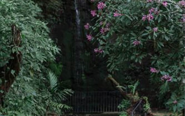Finca Casa Blanca
