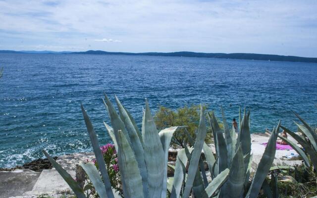 Daniela - Terrace With Amazing sea View - A1