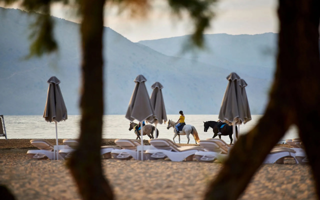 Mythos Palace Resort & Spa - All Inclusive