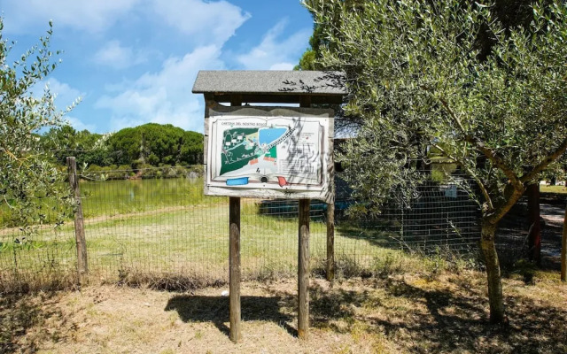 Vibrant Holiday Home in Castiglione del Lago