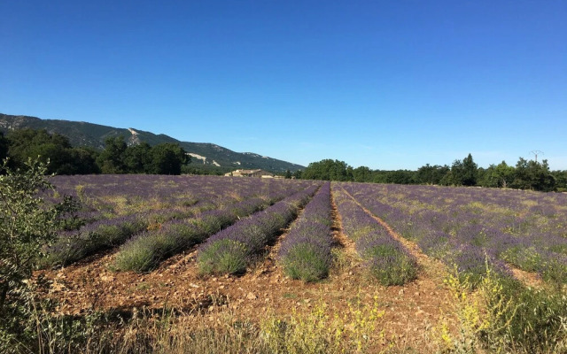 Le Clos D'Estellan - Gites & Suites