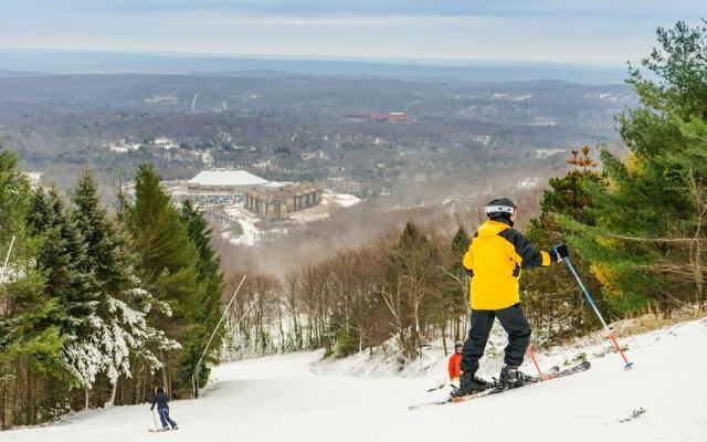 2900sqft villa near ski & snowboarding