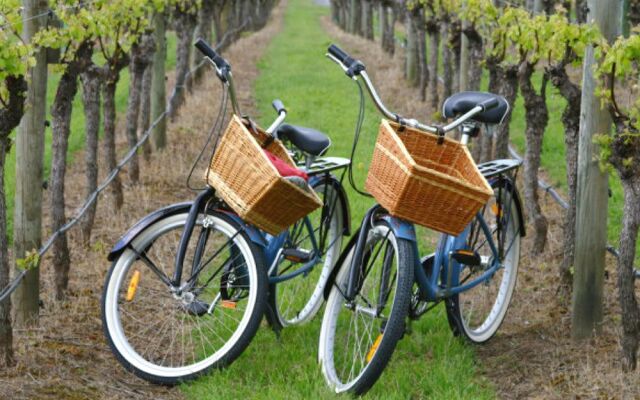 Wine & Art Relais Vallombrosa