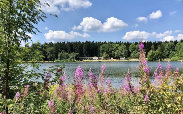 Wooden bungalow with oven, in Oberharz near a lake