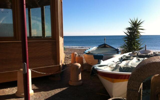 Home Caviglia CITRA 09029-LT-0618