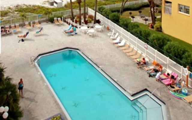 Beach Palms 402