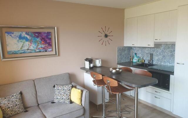 Superbe appartement 2 chambres piscine et plage