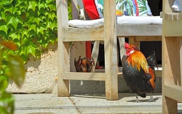 la coterie de troo