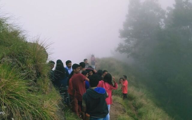 Munnar Jungle Camp