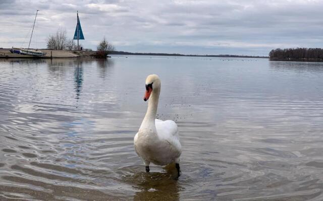BadHoophuizen 6-per Bungalow Veluwemeer Trampoline