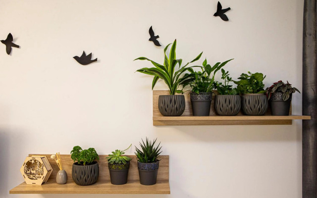 Уютная студия с видом на горы