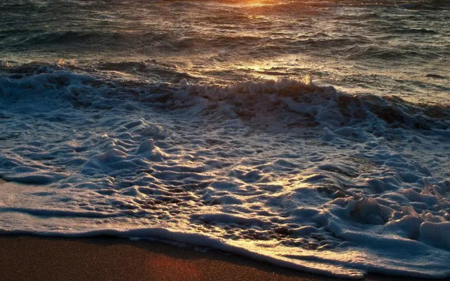 Shepley South Beach Hotel