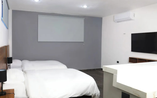 Apartamentos 31