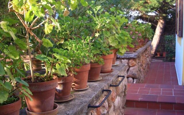 Finca Carreró de Son Gall