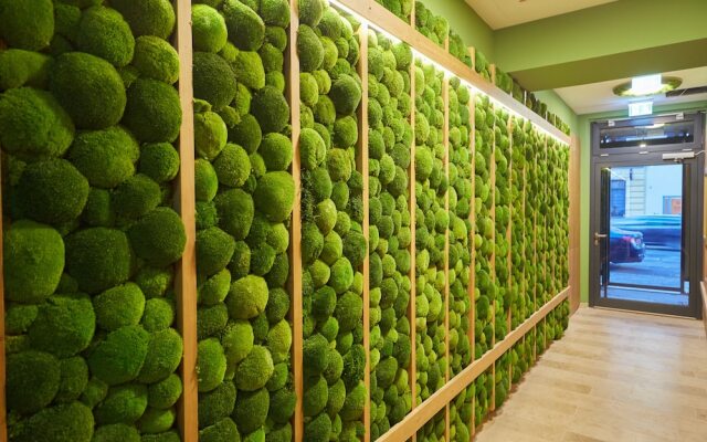 Green Leisure Apartments