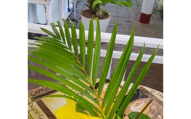 Samvilla