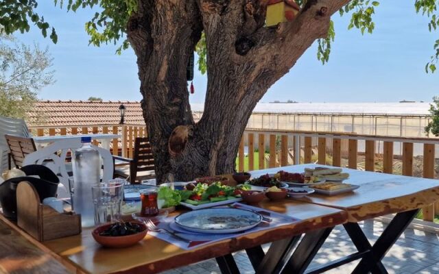 Tas Konak Butik Otel Bungalov