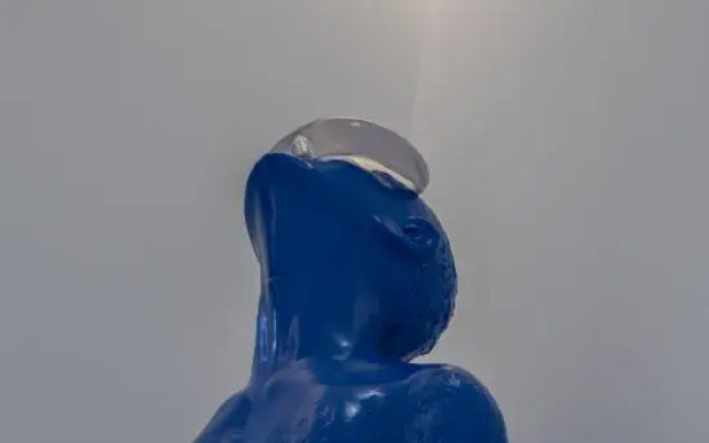 ROY Meisu (Yalong Bay Bohou Village)