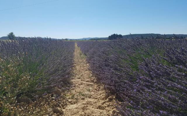 Les Buisses en Provence