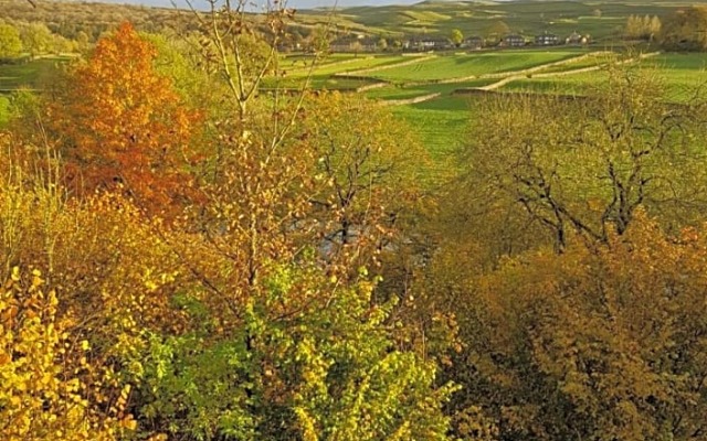 The Sett on The Wharfe