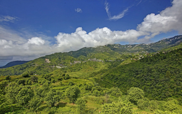 Treebo Trend Winterland