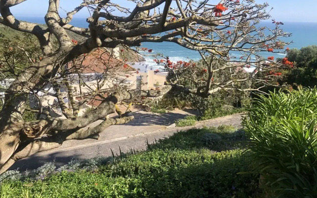Dutton's Cove Guesthouse