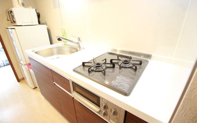 Saint Paulia Osaka Castle