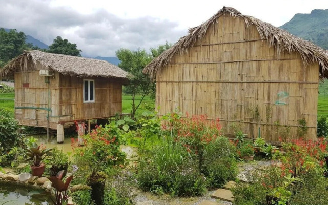 Golden Rice Garden Sapa