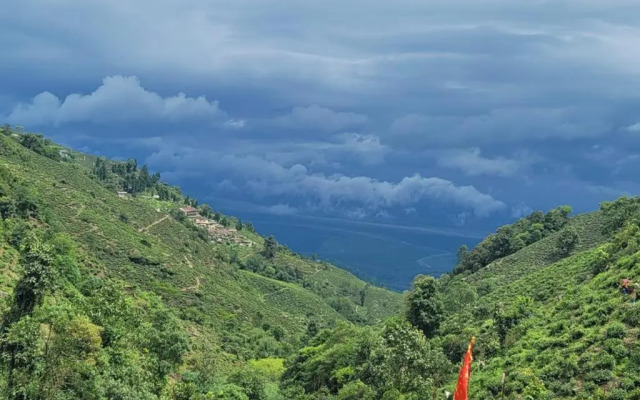 Sunnyside Eco Homestay