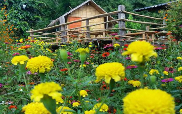 Baan AingDoi Homestay