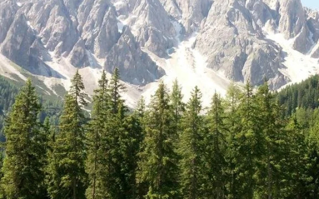 Wachtler Residence Dolomites