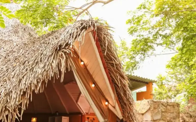 Mangoo Glamping